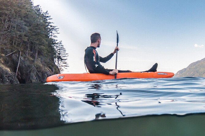 Snorkel, Kayak, and Seal Adventure: Vancouver Boat Tour - Soup, hot chocolate, and the ride home