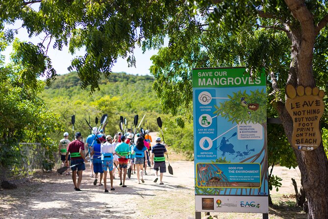 SoCoHo Eco Half Day - Mangrove Kayak & Reef Snorkeling - Snacks, rum punch, and the optional lunch