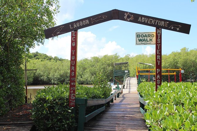 SoCoHo Eco Half Day - Mangrove Kayak & Reef Snorkeling - The guides are a major part of the value