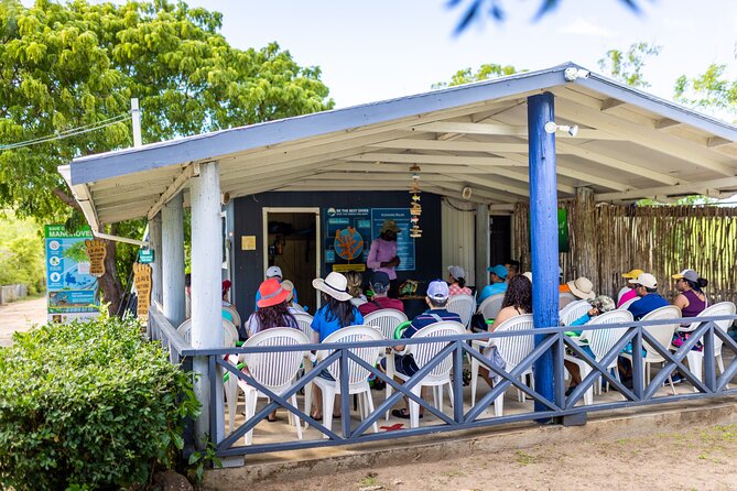 SoCoHo Eco Half Day - Mangrove Kayak & Reef Snorkeling - Useful details before you go