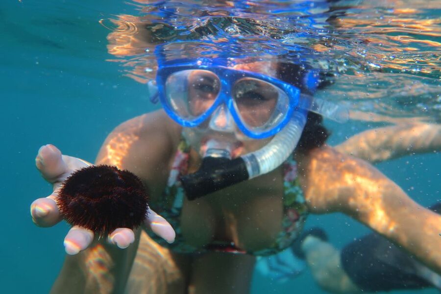 South Maui: Premium Turtle Town Kayak and Snorkel Tour - Winter whales and summer water time