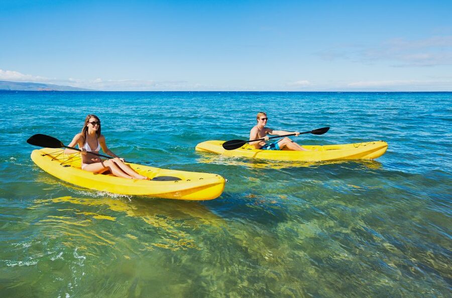 South Maui: Premium Turtle Town Kayak and Snorkel Tour - Is $151 a fair price?