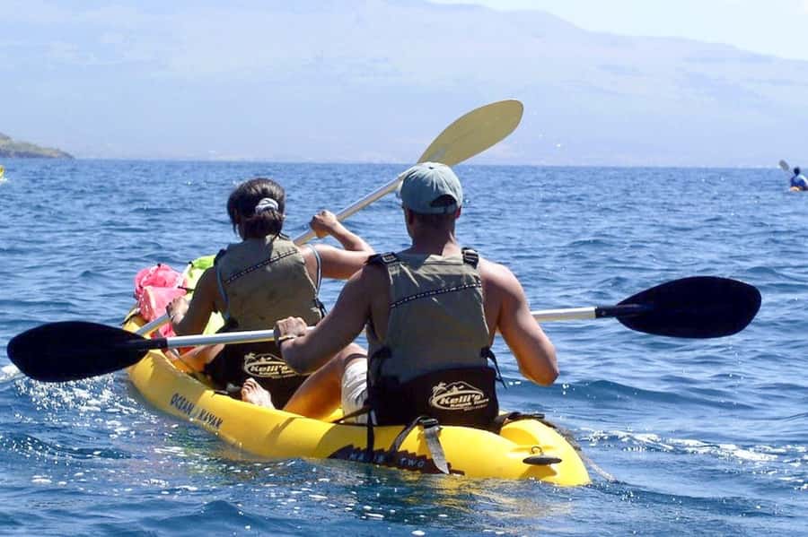 South Maui: Waterfall Tour w/ Kayak, Snorkel, and Hike - Snorkeling in clear water with turtle country