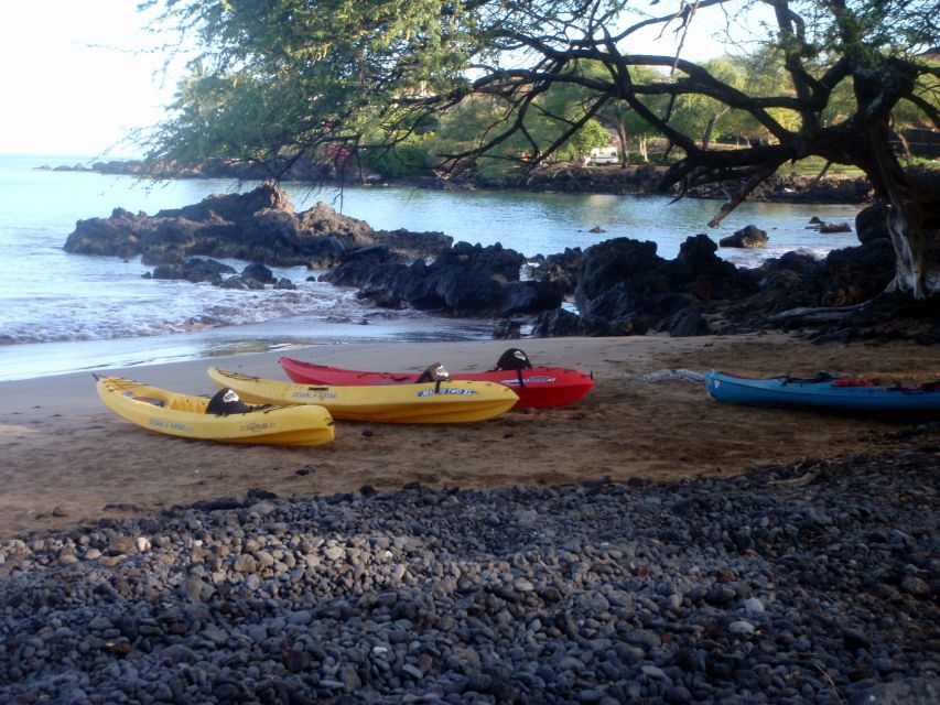 South Maui: Whale Watch Kayaking and Snorkel Tour in Kihei - Practical details for a smoother morning