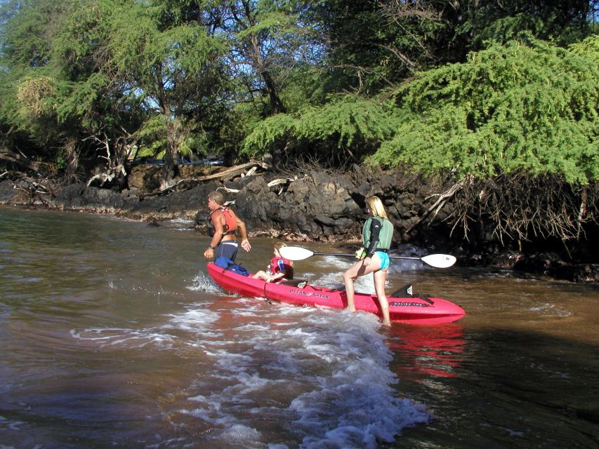 South Maui: Whale Watch Kayaking and Snorkel Tour in Kihei - What the South Maui kayak tour is really like
