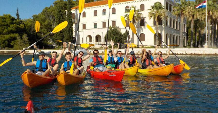 Split 4-Hour Guided Sea Kayak Tour - Following the pine-covered north shore