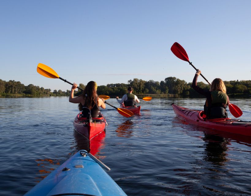 Split/Omiš - Guided River & Sea Kayaking + Snorkeling Tour - What the $47 price includes