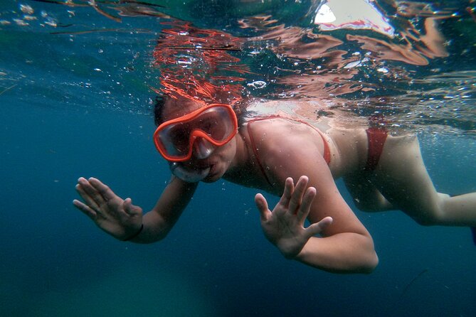 Split Sea Kayaking & Snorkeling Tour - Is $60.49 a fair price?