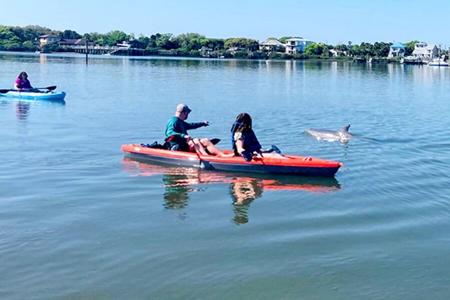 St. Augustine: Dolphin and Manatee Paddle or Kayak Tour - Starting at Lighthouse Park on the St. Augustine waterfront