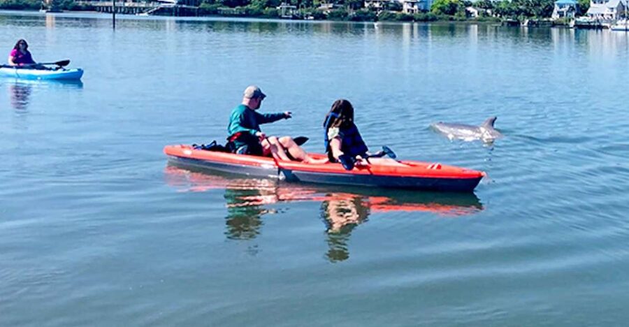 St. Augustine: Dolphin and Manatee Paddle or Kayak Tour - Choosing between a kayak and stand up paddle board