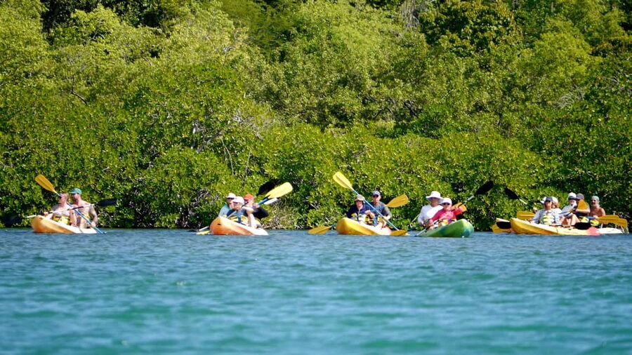 St. John's, Antigua Kayak, Snorkeling, & Beach Bird Island - The four best reasons to consider this Antigua tour