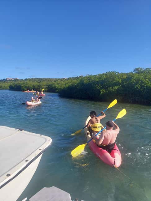 St. John's, Antigua Kayak, Snorkeling, & Beach Bird Island - Speedboat time and the run to Great Bird Island
