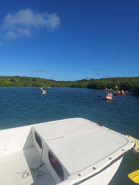 St. John's, Antigua Kayak, Snorkeling, & Beach Bird Island - What the $147 price really covers