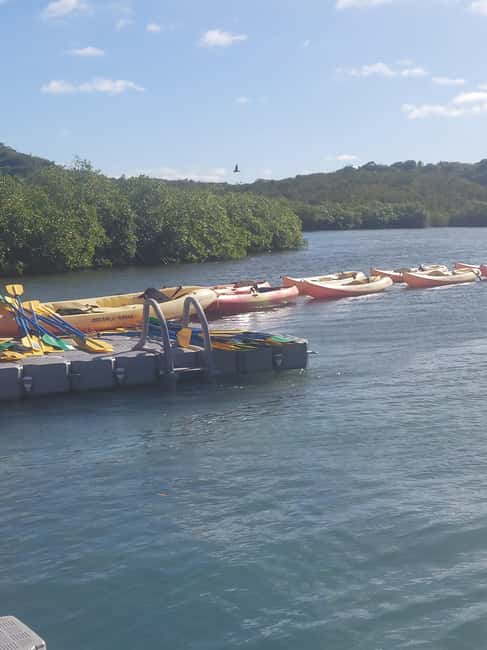 St. John's, Antigua Kayak, Snorkeling, & Beach Bird Island - What to pack and what to expect