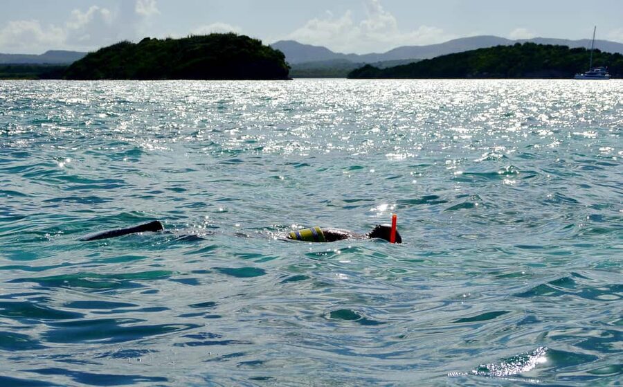 St. John's, Antigua Kayak, Snorkeling, & Beach Bird Island - Paddling through the red mangroves