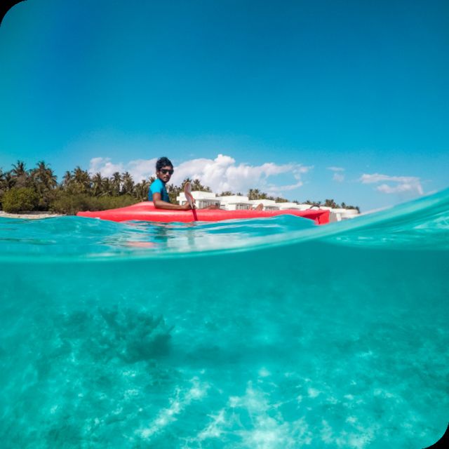 St. Petersburg, FL: Weedon Island Kayak Tour - Quick take: what makes this paddle special