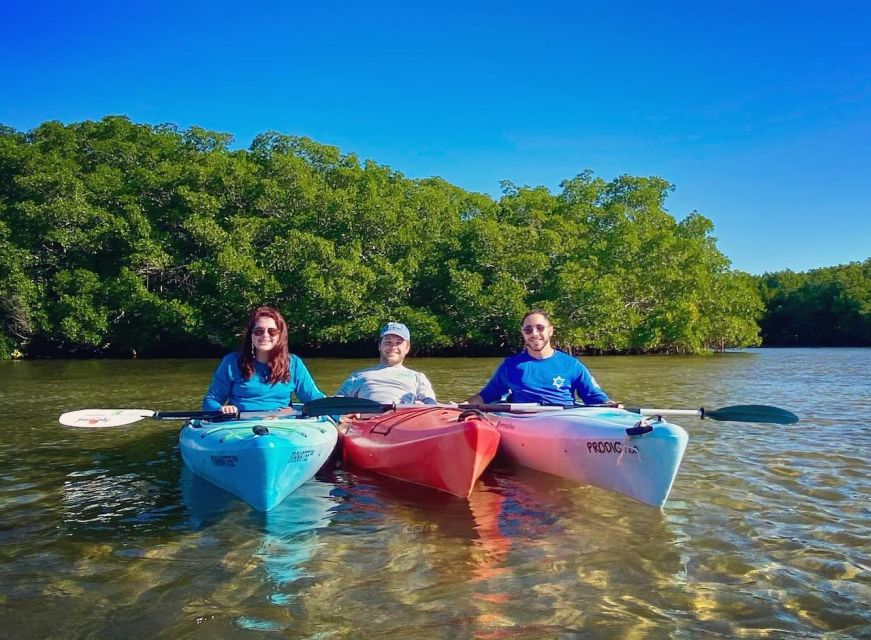 St. Petersburg, FL: Weedon Island Kayak Tour - Entering the mangrove tunnels