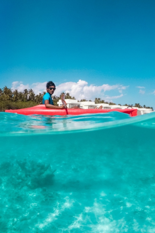 St. Petersburg, FL: Weedon Island Kayak Tour - Booking flexibility and timing