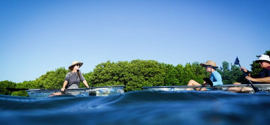 St. Petersburg, FL: Weedon Island Kayak Tour - The first stretch: blue water and seagrass meadows