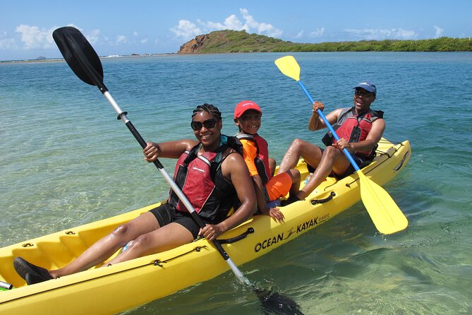 St Thomas Mangrove Lagoon Kayak and Snorkel Tour in the US Virgin Islands - Cas Cay, hermit crabs, and the optional land portion