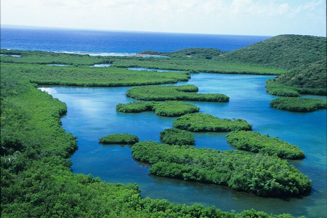 St Thomas Mangrove Lagoon Kayak and Snorkel Tour in the US Virgin Islands - Guides who make the outing work
