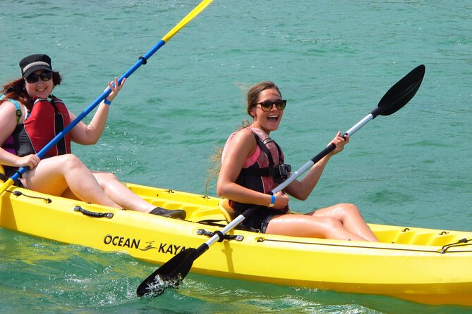 St Thomas Mangrove Lagoon Kayak and Snorkel Tour in the US Virgin Islands - Who will enjoy this St Thomas excursion