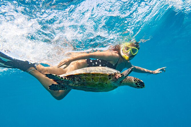 St Thomas Mangrove Lagoon Kayak and Snorkel Tour in the US Virgin Islands - Should you book the Mangrove Lagoon tour?