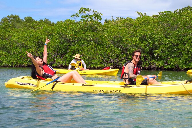 St Thomas Mangrove Lagoon Kayak and Snorkel Tour in the US Virgin Islands - Snorkeling around mangrove roots