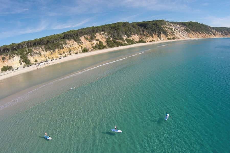 Stand Up Paddle at Double Island Point + 4x4 Beach Drive - Wildlife from board level