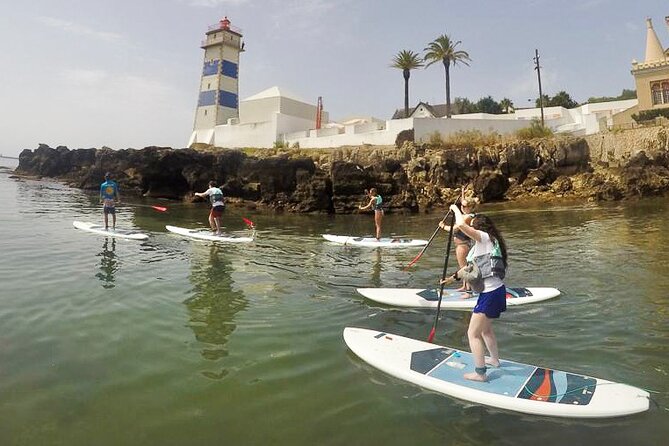 Stand Up Paddle Boarding Lesson of Cascais Bay - The coastal view from a different angle