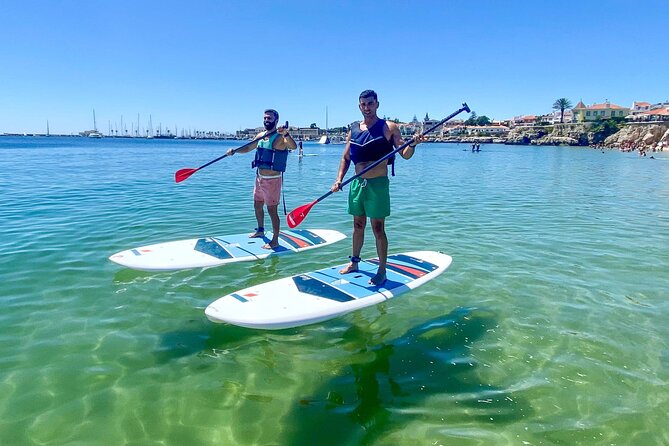 Stand Up Paddle Boarding Lesson of Cascais Bay - Is $36.05 good value?