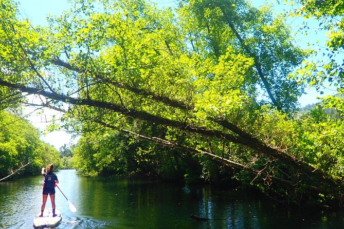 Stand Up Paddle Tour - A good choice for families with young children
