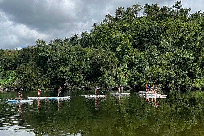 Stand Up Paddle Tour - Is $59.57 a fair price?