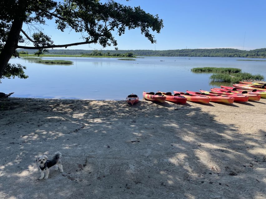 Starved Rock State Park: Guided Kayaking Tour - Bringing your dog in a tandem kayak