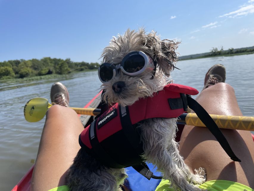 Starved Rock State Park: Guided Kayaking Tour - Is $74 a fair price?