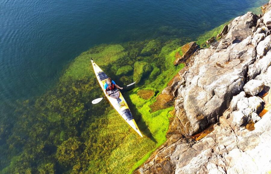 Stockholm: 1, 2, or 3-Day Kayaking Tour in the Archipelago - Food, fika, and the simple pleasures of the day