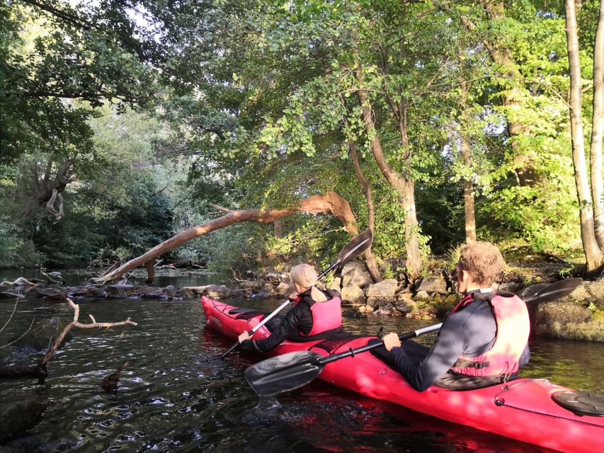 Stockholm Evening Kayak with BBQ. - What dinner is really worth at $141
