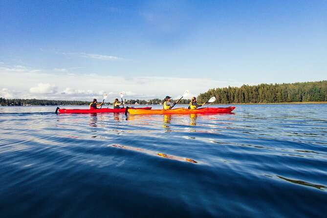 Stockholm: Kayaking tour around Vaxholm Archipelago with Fika - Reaching the archipelago from central Stockholm