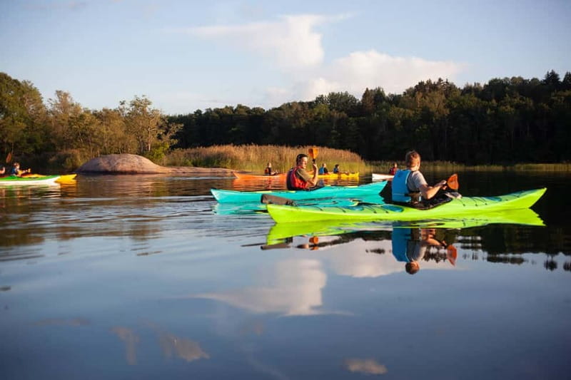 Stockholm: Sunset Archipelago Kayaking & Toast on the Water - Wildlife watching without false promises