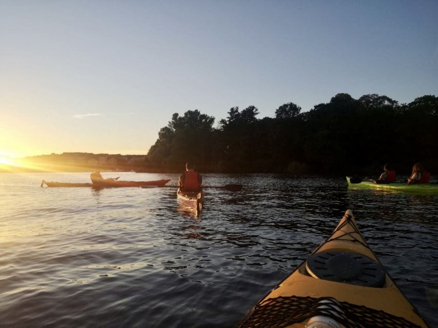 Stockholm: Sunset Kayak Tour in the City + Swedish Fika - The fika stop beside the water