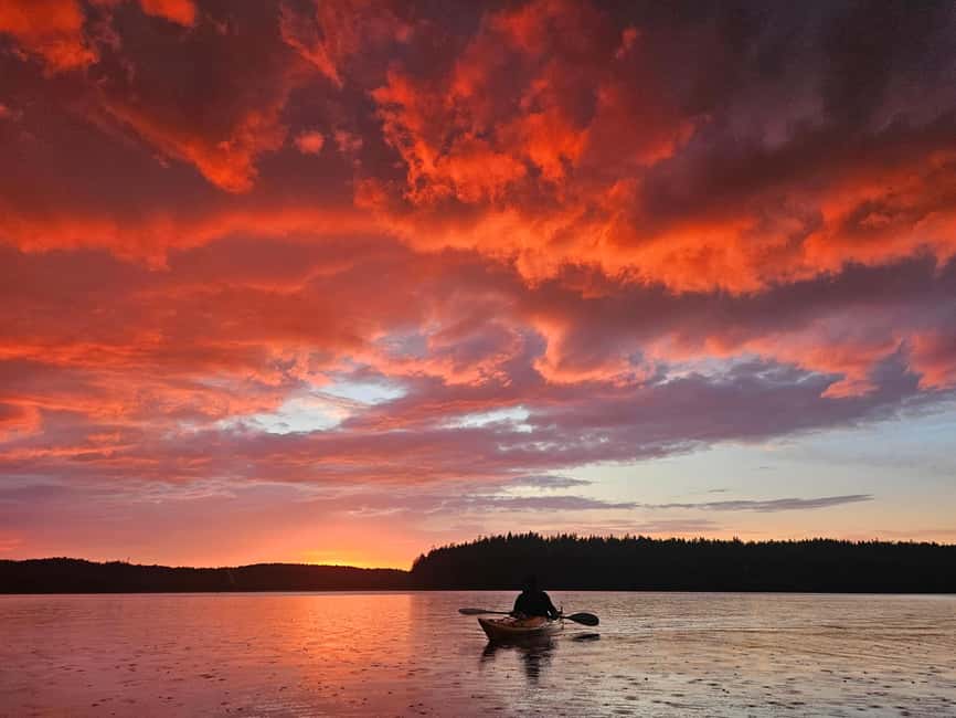Stockholm: Sunset Kayak Tour on Lake Mälaren with Tea & Cake - Key points to know before booking