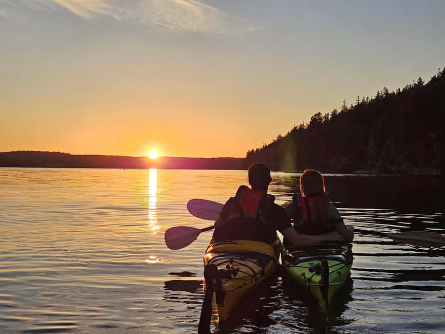 Stockholm: Sunset Kayak Tour on Lake Mälaren with Tea & Cake - Why Lake Mälaren makes a good evening escape