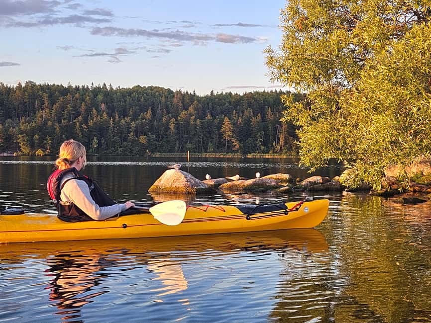 Stockholm: Sunset Kayak Tour on Lake Mälaren with Tea & Cake - The first 75 minutes: quiet water, islands, and an easy rhythm