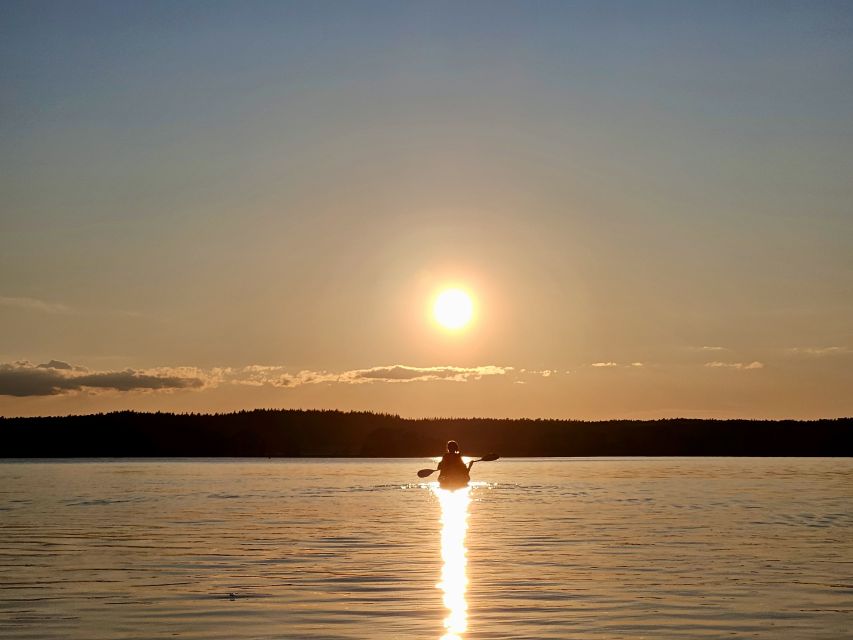Stockholm: Sunset Kayak Tour on Lake Mälaren with Tea & Cake - Swedish fika on a beach or small island
