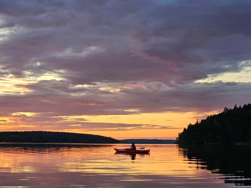 Stockholm: Sunset Kayak Tour on Lake Mälaren with Tea & Cake - The second 75 minutes: sunset and the beaver search