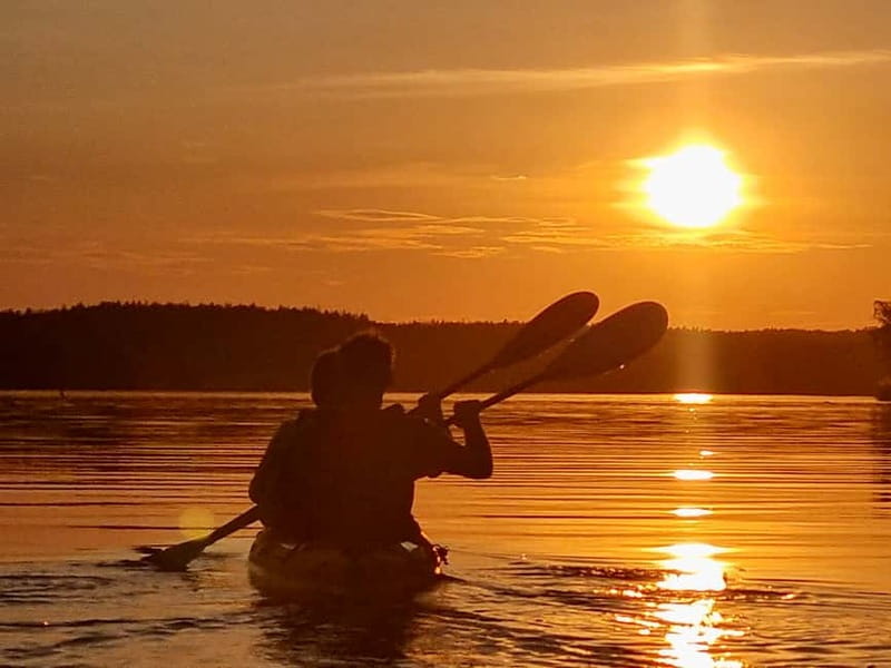 Stockholm: Sunset Kayak Tour on Lake Mälaren with Tea & Cake - What the guide adds to the evening