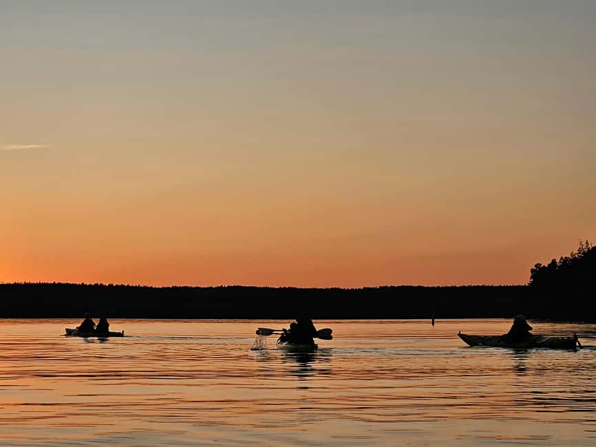 Stockholm: Sunset Kayak Tour on Lake Mälaren with Tea & Cake - Is $109 a fair price?
