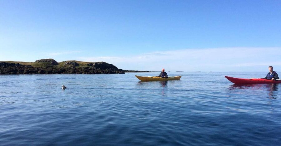 Stykkishólmur: 2-Hour Sea Kayak Tour - Starting from central Stykkishólmur
