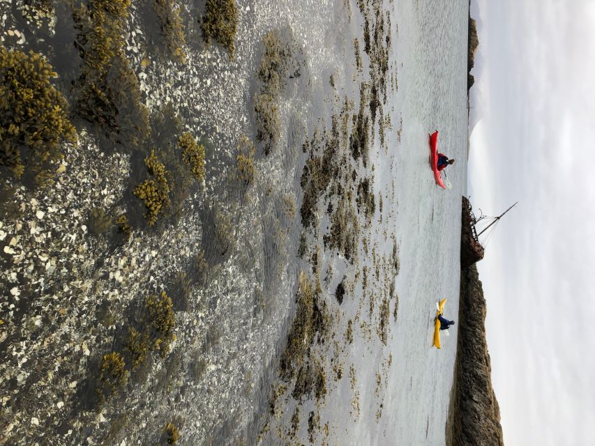 Stykkishólmur: 2-Hour Sea Kayak Tour - Shipwrecks near the islands