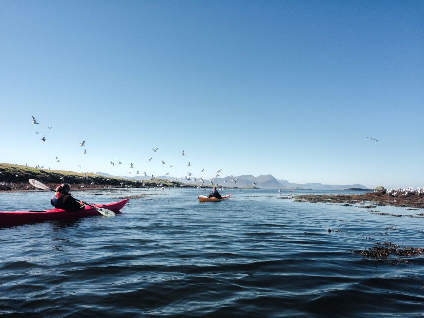 Stykkishólmur: 2-Hour Sea Kayak Tour - The first paddle across Breiðafjörður Bay